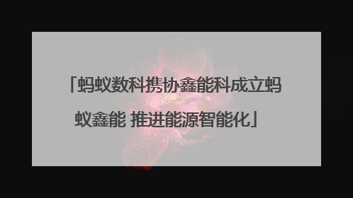 蚂蚁数科携协鑫能科成立蚂蚁鑫能 推进能源智能化